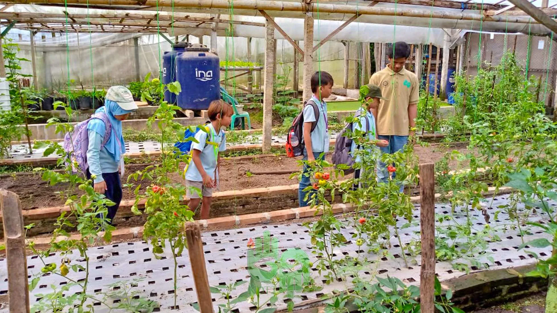 fieldtrip-dan-overplanting-sekolah-murid-merdeka-smm-di-kptt-salatiga