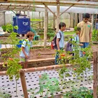 Field Trip and Overplanting with Sekolah Murid Merdeka (SMM) at KPTT Salatiga